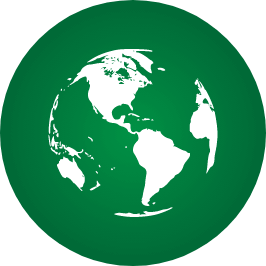 Earth Icon